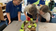 Pupil pouring water into their system