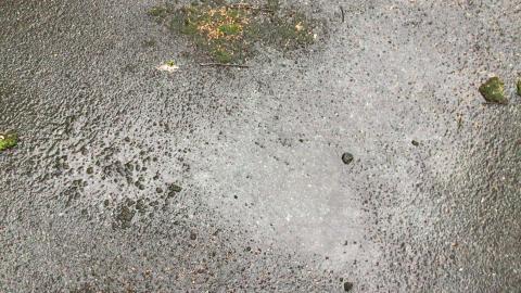 Puddles- ideal for Muddy Puddle