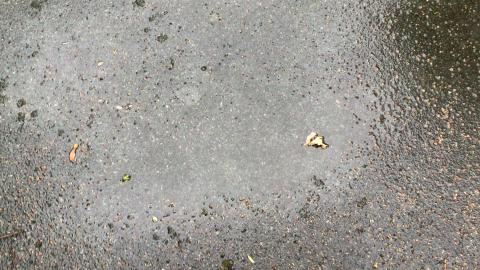 Puddles- ideal for Muddy Puddle