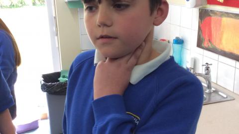 Willow class pupil taking their pulse rate after exercise
