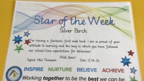 Star of the Week - Silver Birch 
