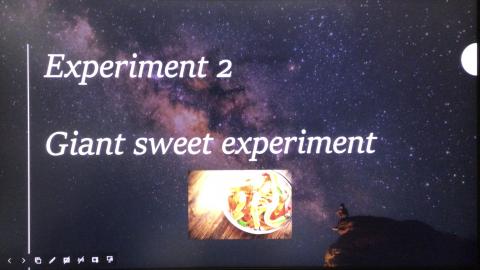 Experiment  2 - Giant Sweet Experiment 