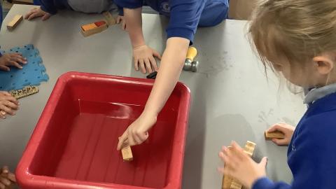 Children testing objects for floating and sinking