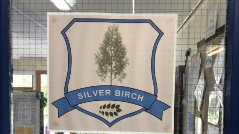 Silver Birch shield 