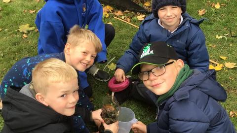 Working together as a team 