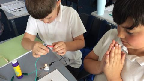 Willow class pupil investigating circuits