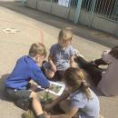 Children making nature pictures