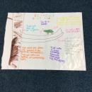 A tree frog fact file poster 