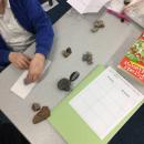 I sorted my rocks using different criteria