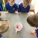 Children listing what ingredients they have used