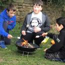 Toasting marshmallows