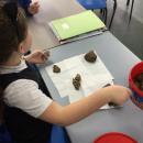 We sorted rocks according to their size
