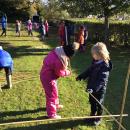 Creating our dens