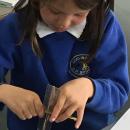 Amelia exploring how an elastic band attached to a ruler vibrates 