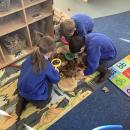 children with magnifying glasses, investigating a leafy nest