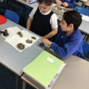 We sorted rocks according to their colours