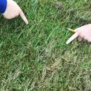 Children pointing to a plant that they had found on the field.
