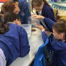 Pouring liquid to measure and compare