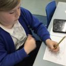 Researching an endangered  species