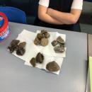 We sorted the rocks using 5 different criteria