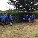 Children closely observing the hedges around our field