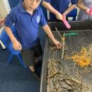 Children building a stick house