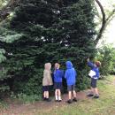 Children observing a tree.