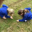 Children observing the grass close to identify a plant