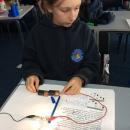 Willow class pupil investigating circuits