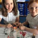 Willow class pupil investigating circuits