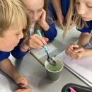 Investigating whether chalk is soluble