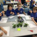 Labelling our plants according to the conditions we decided we were going to choose for them